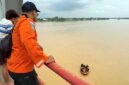 Tim SAR Berpacu dengan Arus Batanghari Cari Warga yang Terjun. FOTO : Humas SAR JAMbi