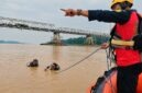 Tim Penyelamat (Rescue) Basarnas Jambi melakukan koordinasi dari atas perahu karet saat dua personel penyelam menyisir aliran Sungai Batanghari di Desa Rantau Kapas Mudo, Tembesi, Batang Hari, Jambi, Kamis (15/10/2026). (FOTO : Humas BASARNAS Jambi)