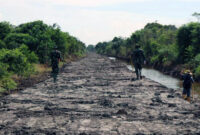 FOTO : Kegiatan Fisik TMMD 108 tahun 2020 Kodim 0419/Tanjab Sudah Menampakan Wujud Nyata Berupa Jalan Sepanjang 10.695 Meter di Kecamatan Sadu, Kabupaten Tanjab Timur.