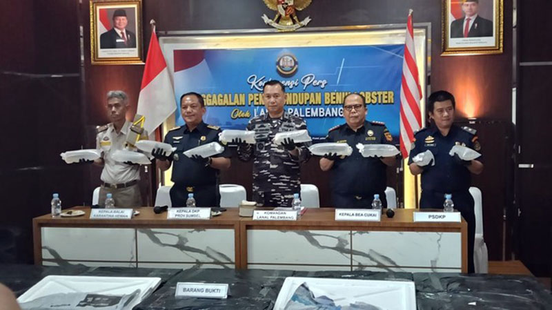 Aparat gabungan dan TNI AL (Lanal Palembang), Bea Cukai, KKP, dan Kepolisian saat merilis barang bukti penggagalan penyelundupan Benih Bening Lobster (BBL) dalam sebuah konferensi pers. Foto ini menjadi pengingat bahwa perairan Jambi, termasuk wilayah Tanjung Jabung Timur, masih menjadi jalur yang sangat rawan terhadap aksi penjarahan sumber daya laut ke luar negeri. (FOTO : Dok. Penerangan Lanal Palembang/Detik.com)