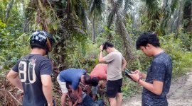 Unit Reskrim Polsek Tebing Tinggi Gagalkan Transaksi Narkoba di Rantau Panjang 1 Orang Diamnkan. FOTO : HMS