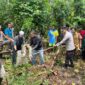 Warga Desa Terjun Jaya Temukan Ular Piton yang Diduga Menelan IRT. FOTO : Polsek Betara
