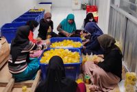 Dari Desa Siwarak, UMKM Binaan Pertamina Nanas-Qu Rangkul Ratusan Petani. FOTO : WKI