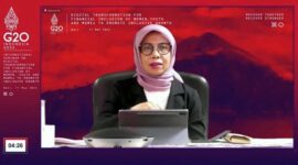Direktur Utama Pusat Investasi Pemerintah (PIP) Ririn Kadariyah. FOTO : TANGKAPAN LAYAR