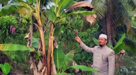 Ustadz H. Suhaimi, S.Pd.I 