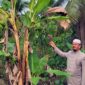 Ustadz H. Suhaimi, S.Pd.I 
