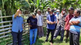 Wakil Bupati Tanjab Barat, Hairan didampingi Renah Mendaluh, Bangbang Hermano Saat Meninjau 2 Lokasi Rencana Pembangunan Jembatan ‘Sungai Pengabuan’ di Kecamatan Renah Mendaluh. FOTO : Prokopim