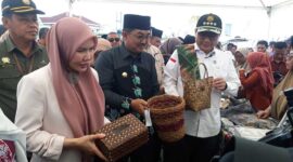 Wamentan dan Istri didampingi Bupati tinjau hasil kreasi UKM di Tanjab Barat