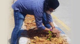 Syufrayogi Syaiful Anggota DPRD Tanjung Jabung Barat, Jambi menanam bibit tanaman di Jalur Median Sri Soedewi. FOTO : Med