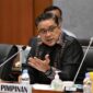Dede Yusuf, Wakil Ketua Komisi X DPR RI dari Fraksi Partai Demokrat. FOTO : Net/Ist