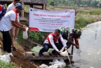 Petani di Wayame, Ambon, Maluku, merawat tanaman di area Demplot Hortikultura binaan Pertamina Patra Niaga. Program ini hadir untuk mengatasi keterbatasan akses air sekaligus meningkatkan produktivitas dan ketahanan pangan masyarakat pesisir dan kepulauan. (FOTO : Dok. Pertamina Patra Niaga)