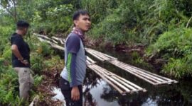 Polda Jambi Amankan Ratusan Keping Papan dan Kayu Ilegal Perbatasan Jambi-Sumsel. FOTO : Istimewa