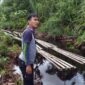 Polda Jambi Amankan Ratusan Keping Papan dan Kayu Ilegal Perbatasan Jambi-Sumsel. FOTO : Istimewa