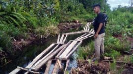 Polda Jambi Amankan Ratusan Keping Papan dan Kayu Ilegal Perbatasan Jambi-Sumsel. FOTO : Istimewa