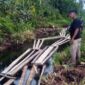 Polda Jambi Amankan Ratusan Keping Papan dan Kayu Ilegal Perbatasan Jambi-Sumsel. FOTO : Istimewa