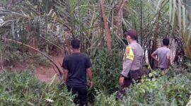 FOTO : Polisi Melakukan Penyisiran Tempal Larinya Kedua Pelaku Pasca Kejadian, Selasa (12/05/20)