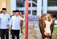 Gubernur Jambi Al Haris didampingi sejumlah tokoh agama saat prosesi penyerahan bantuan sapi kurban Presiden Prabowo Subianto di kawasan Islamic Center Jambi, Selasa (26/5/2026). Sapi jenis Simmental berbobot nyaris 1 ton tersebut akan dibagikan kepada masyarakat sekitar yang berhak menerima. (FOTO : Dok. Istimewa)
