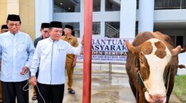 Gubernur Jambi Al Haris didampingi sejumlah tokoh agama saat prosesi penyerahan bantuan sapi kurban Presiden Prabowo Subianto di kawasan Islamic Center Jambi, Selasa (26/5/2026). Sapi jenis Simmental berbobot nyaris 1 ton tersebut akan dibagikan kepada masyarakat sekitar yang berhak menerima. (FOTO : Dok. Istimewa)