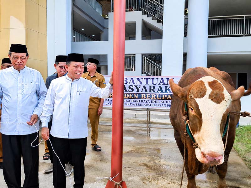 Gubernur Jambi Al Haris didampingi sejumlah tokoh agama saat prosesi penyerahan bantuan sapi kurban Presiden Prabowo Subianto di kawasan Islamic Center Jambi, Selasa (26/5/2026). Sapi jenis Simmental berbobot nyaris 1 ton tersebut akan dibagikan kepada masyarakat sekitar yang berhak menerima. (FOTO : Dok. Istimewa)