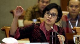 Sri Mulyani, Menteri Keuangan