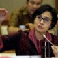 Sri Mulyani, Menteri Keuangan