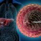 Ilustrasi Kasus Hepatitis Akut